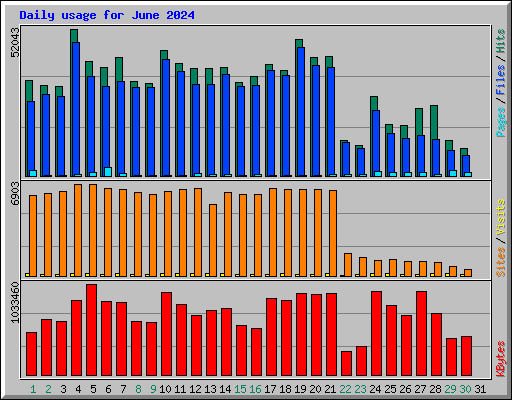 Daily usage for June 2024