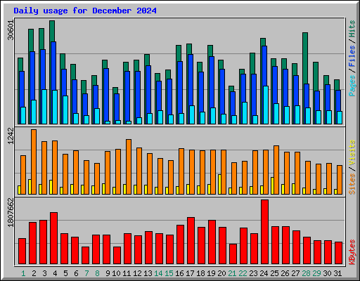 Daily usage for December 2024