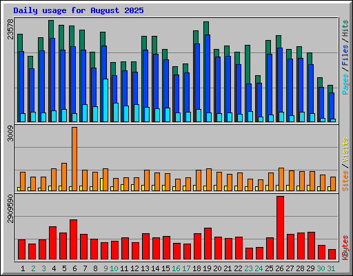 Daily usage for August 2025
