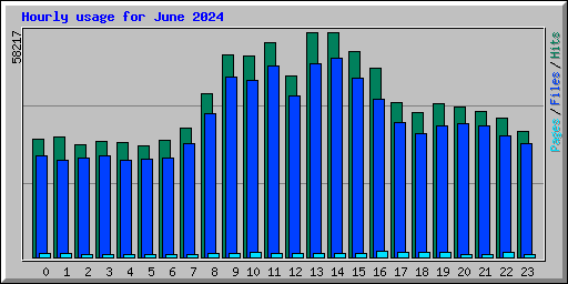 Hourly usage for June 2024