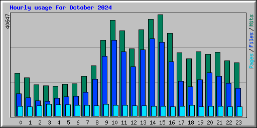Hourly usage for October 2024