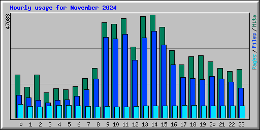 Hourly usage for November 2024
