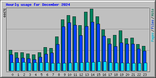 Hourly usage for December 2024