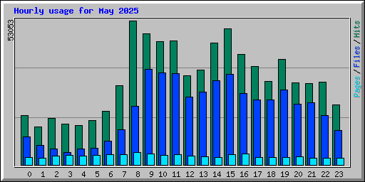 Hourly usage for May 2025