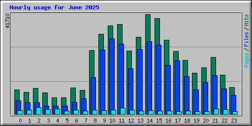Hourly usage for June 2025