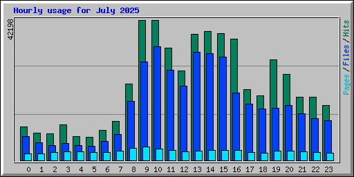 Hourly usage for July 2025