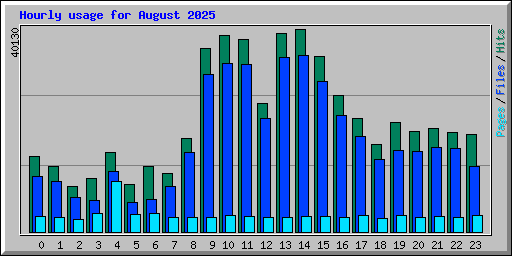 Hourly usage for August 2025