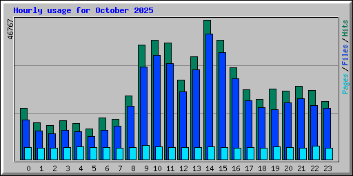 Hourly usage for October 2025