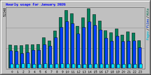 Hourly usage for January 2026