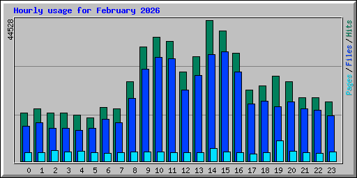 Hourly usage for February 2026