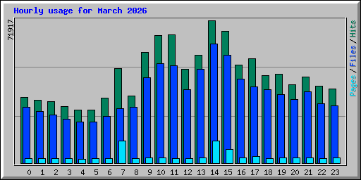 Hourly usage for March 2026